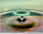 Beautiful Water Drops